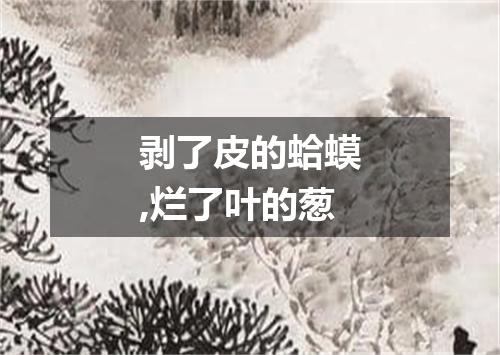 剥了皮的蛤蟆,烂了叶的葱