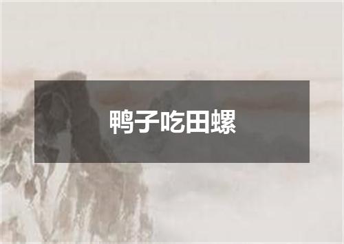 鸭子吃田螺