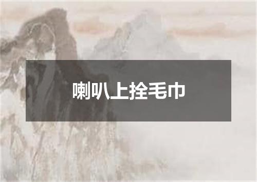 喇叭上拴毛巾