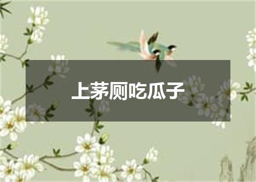 上茅厕吃瓜子