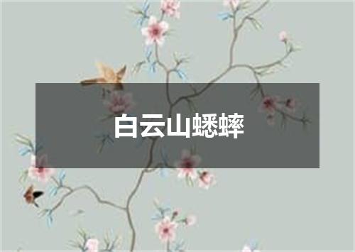 白云山蟋蟀