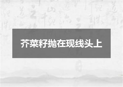 芥菜籽抛在现线头上