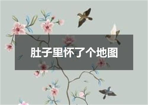 肚子里怀了个地图