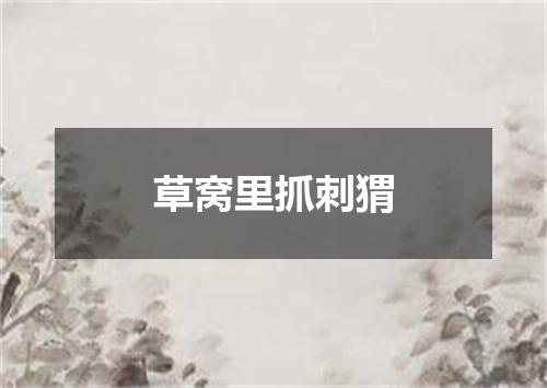 草窝里抓刺猬