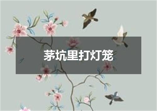 茅坑里打灯笼