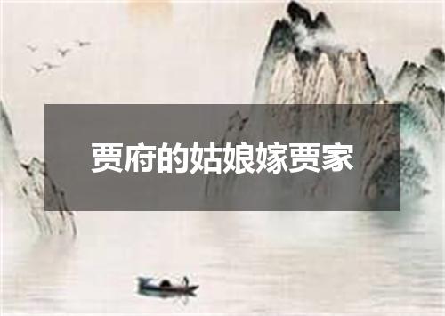 贾府的姑娘嫁贾家