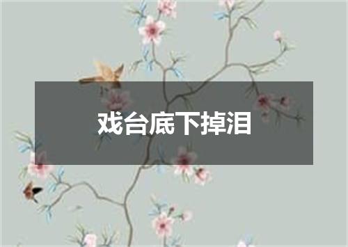 戏台底下掉泪