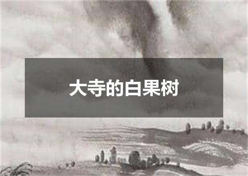 大寺的白果树