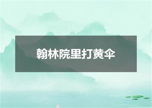 翰林院里打黄伞