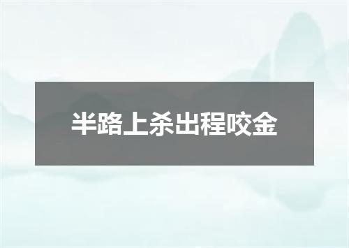 半路上杀出程咬金