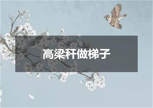 高梁秆做梯子