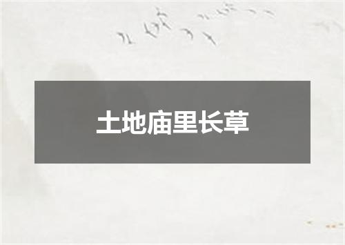 土地庙里长草