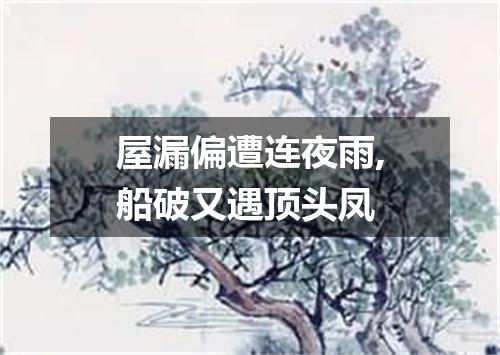 屋漏偏遭连夜雨,船破又遇顶头凤