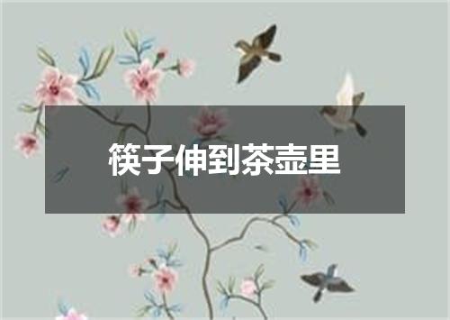 筷子伸到茶壶里