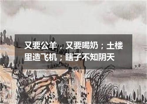 又要公羊，又要喝奶；土楼里造飞机；瞎子不知阴天