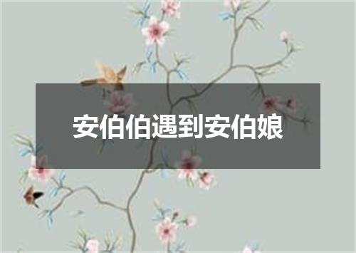 安伯伯遇到安伯娘
