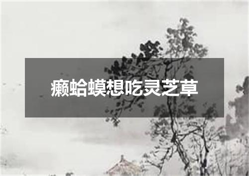 癞蛤蟆想吃灵芝草