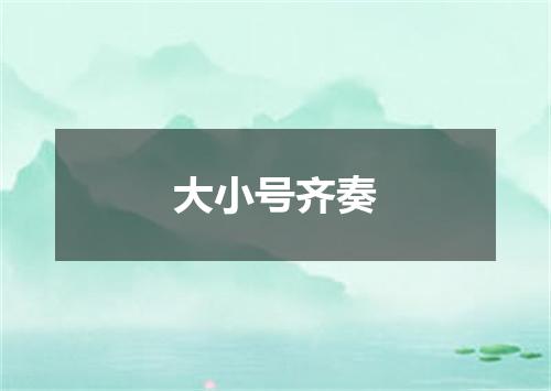 大小号齐奏
