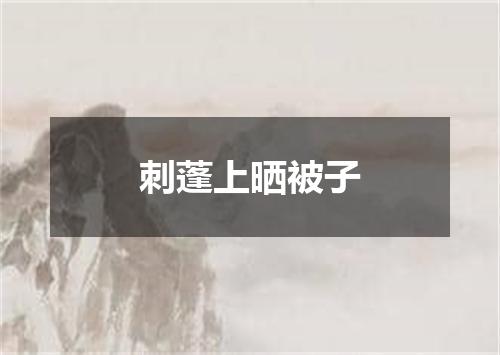 刺蓬上晒被子