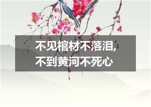 不见棺材不落泪,不到黄河不死心