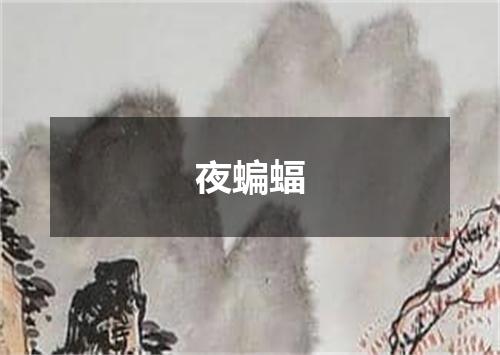 夜蝙蝠