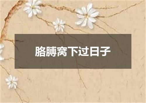 胳膊窝下过日子