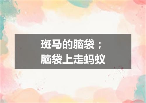 斑马的脑袋；脑袋上走蚂蚁