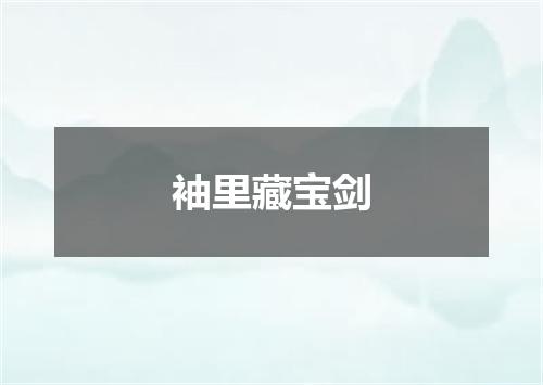 袖里藏宝剑