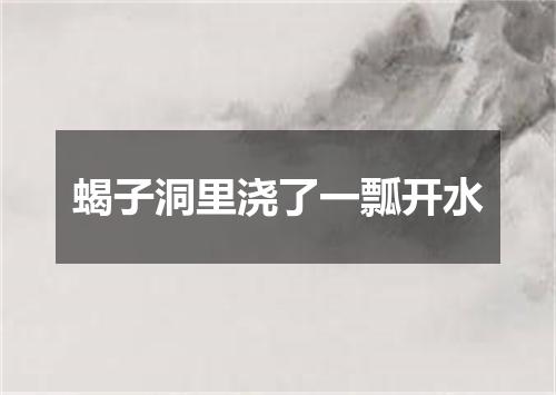 蝎子洞里浇了一瓢开水