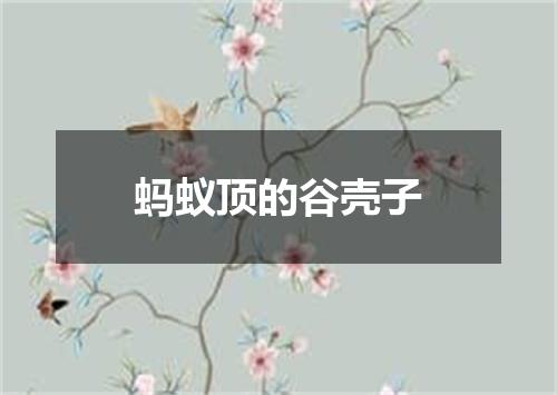 蚂蚁顶的谷壳子