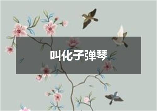 叫化子弹琴