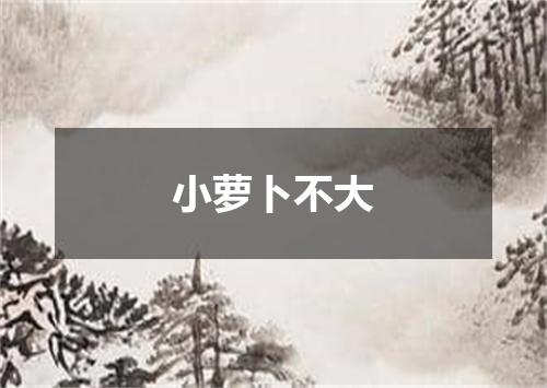 小萝卜不大