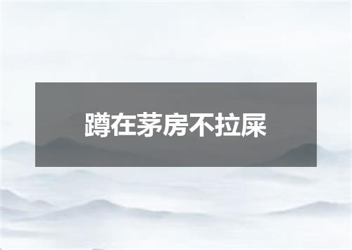 蹲在茅房不拉屎