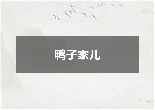 鸭子家儿