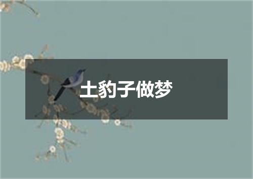 土豹子做梦