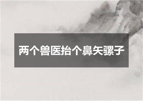 两个兽医抬个鼻矢骡子