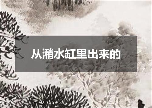 从潲水缸里出来的