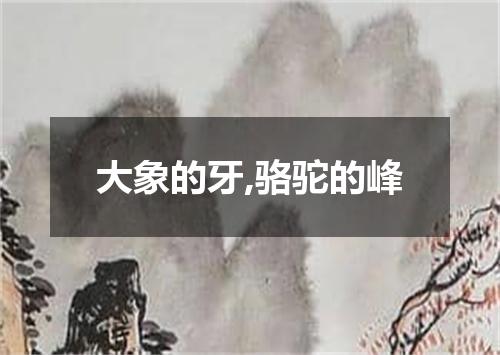 大象的牙,骆驼的峰