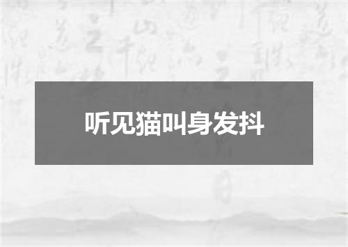 听见猫叫身发抖