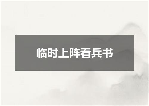 临时上阵看兵书