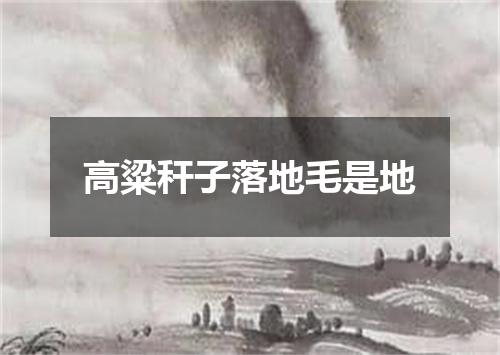 高粱秆子落地毛是地