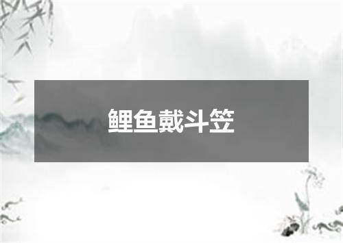 鲤鱼戴斗笠