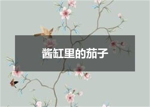 酱缸里的茄子