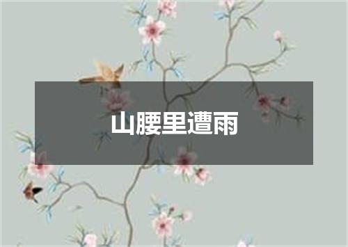 山腰里遭雨