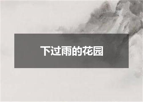 下过雨的花园