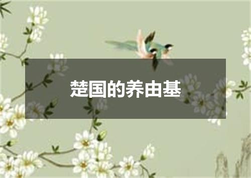 楚国的养由基