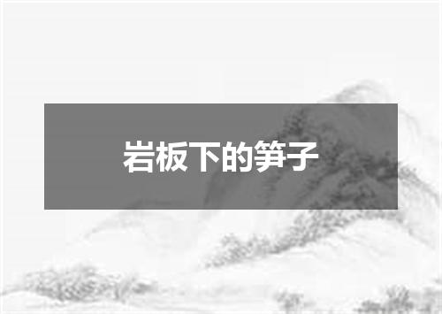 岩板下的笋子