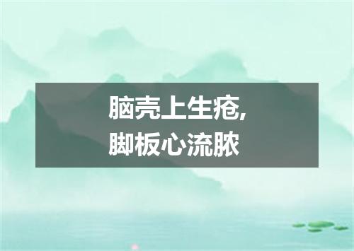 脑壳上生疮,脚板心流脓