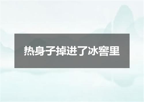 热身子掉进了冰窖里