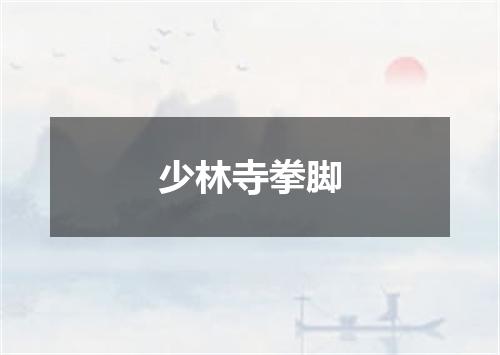少林寺拳脚
